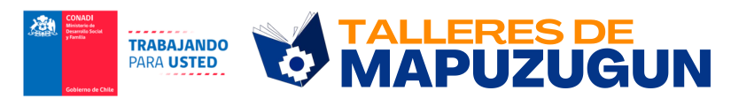 Talleres de Mapuzugun